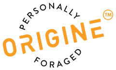 Origine Europe